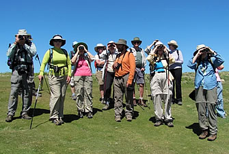 Tuscany group