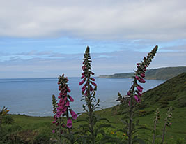 South Devon, England