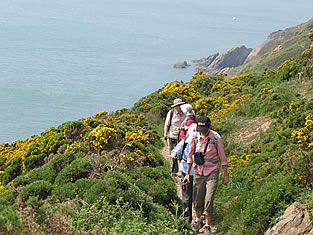 South Devon, England