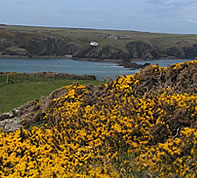 Wales