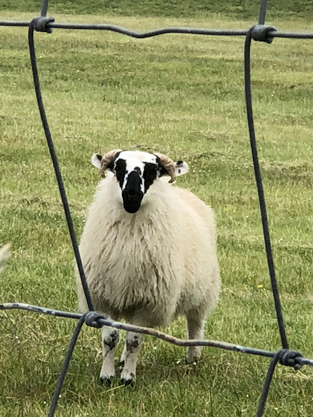Pembrokeshire Coast, Wales