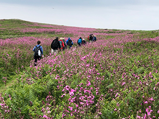 Pembrokeshire Coast, Wales